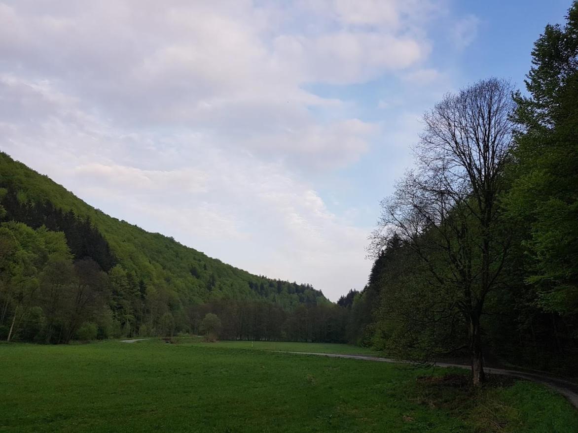 Hostejn Schupplerova Vila المظهر الخارجي الصورة